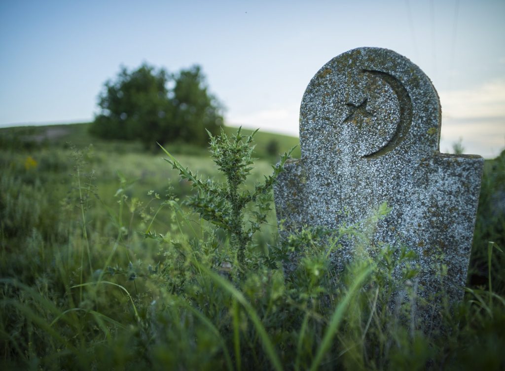 shutterstock_443915941-scaled-1